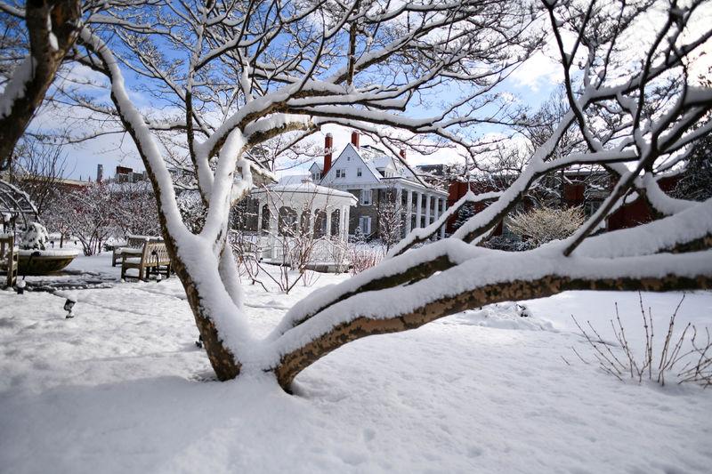 The Hintz Alumni Center in the background of a snow covered tree